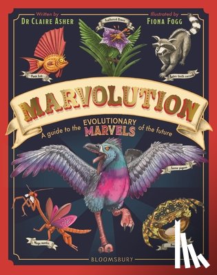 Asher, Dr Claire - Marvolution
