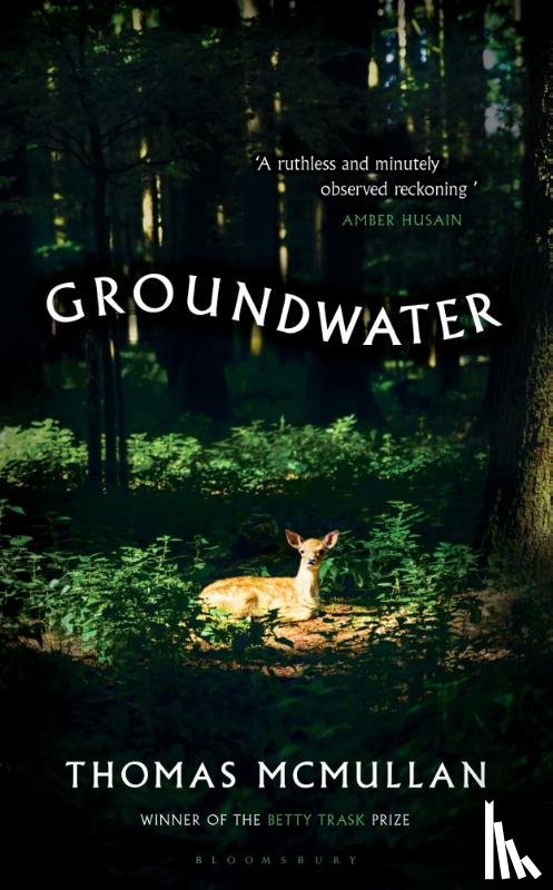 McMullan, Thomas - Groundwater