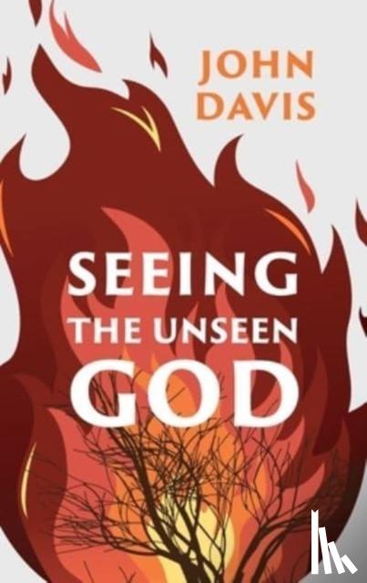 Davis, John - Seeing the Unseen God