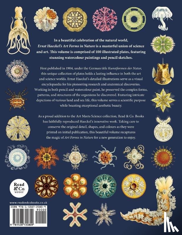 Haeckel, Ernst - Ernst Haeckel's Art Forms in Nature