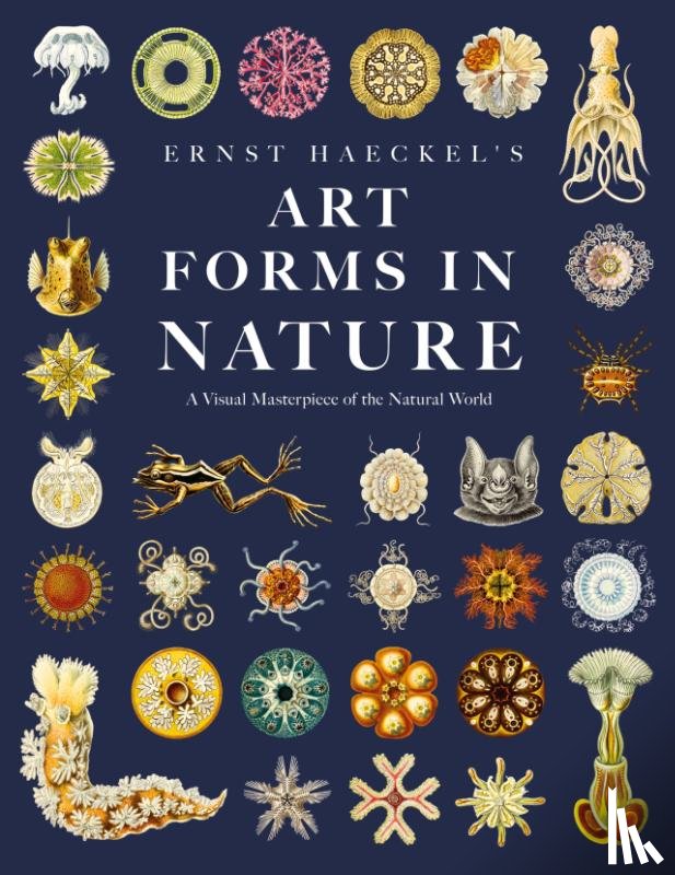 Haeckel, Ernst - Ernst Haeckel's Art Forms in Nature