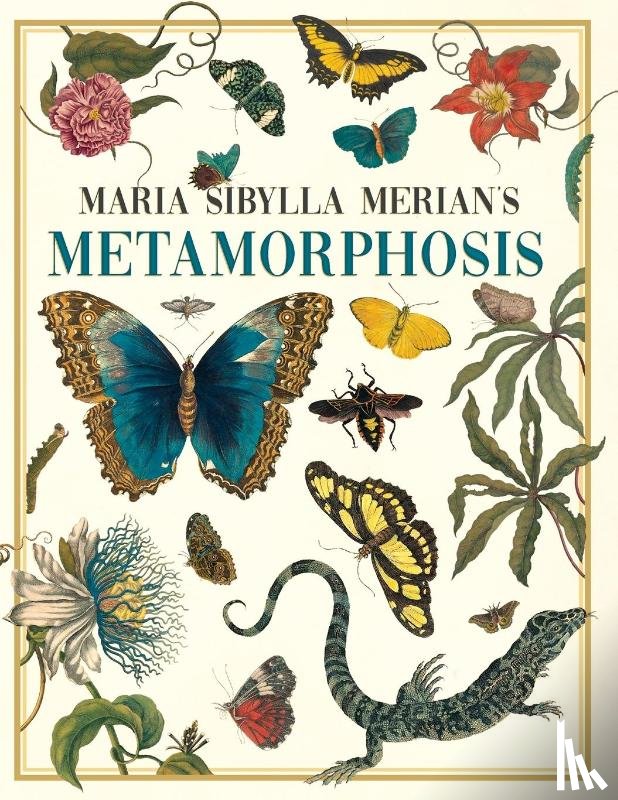  - Maria Sibylla Merian's Metamorphosis