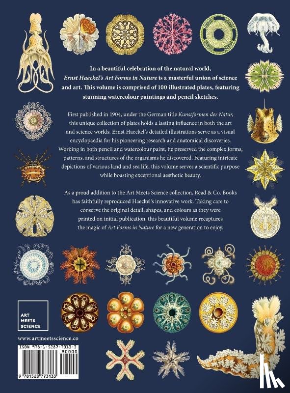 Haeckel, Ernst - Ernst Haeckel's Art Forms in Nature