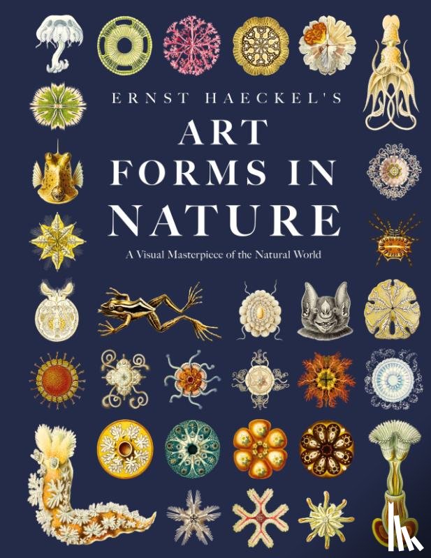Haeckel, Ernst - Ernst Haeckel's Art Forms in Nature