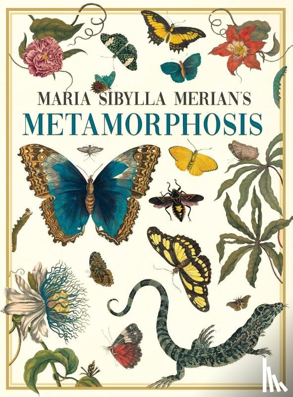  - Maria Sibylla Merian's Metamorphosis