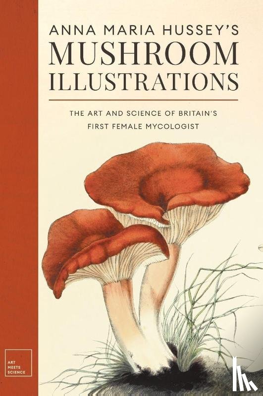 Hussey, Anna Maria - Anna Maria Hussey's Mushroom Illustrations