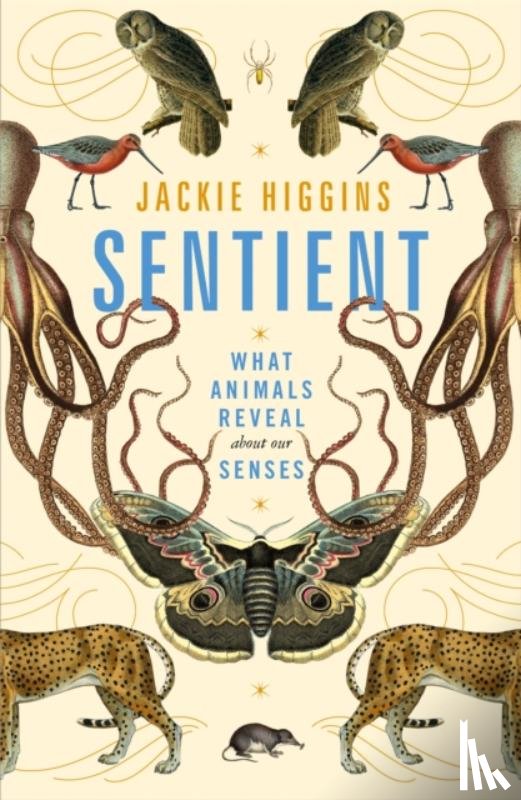 Higgins, Jackie - Sentient