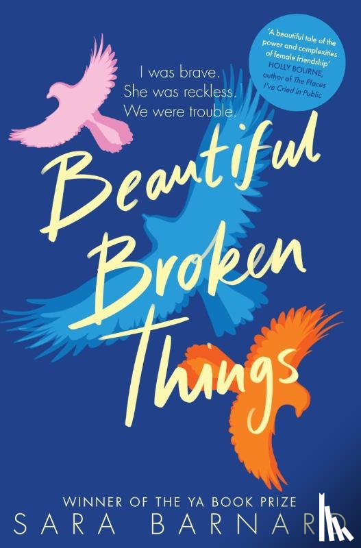 Barnard, Sara - Beautiful Broken Things