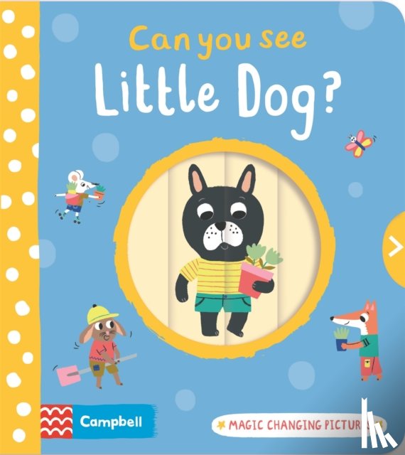 Books, Campbell - Can You See Little Dog?