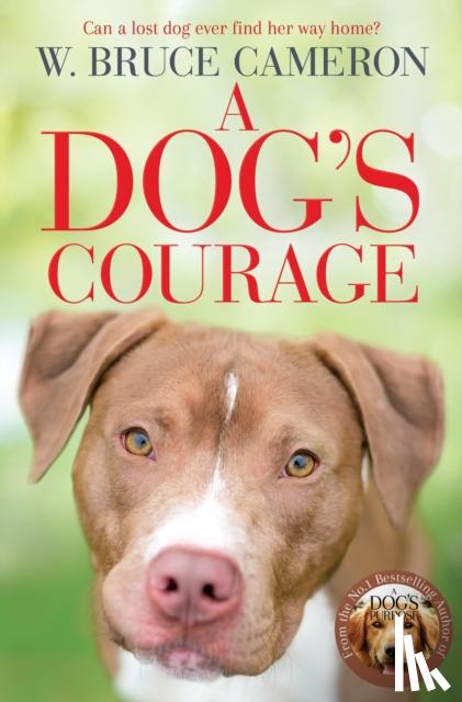 Bruce Cameron, W. - A Dog's Courage