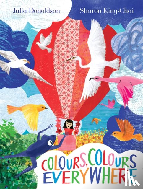 Donaldson, Julia - Colours, Colours Everywhere