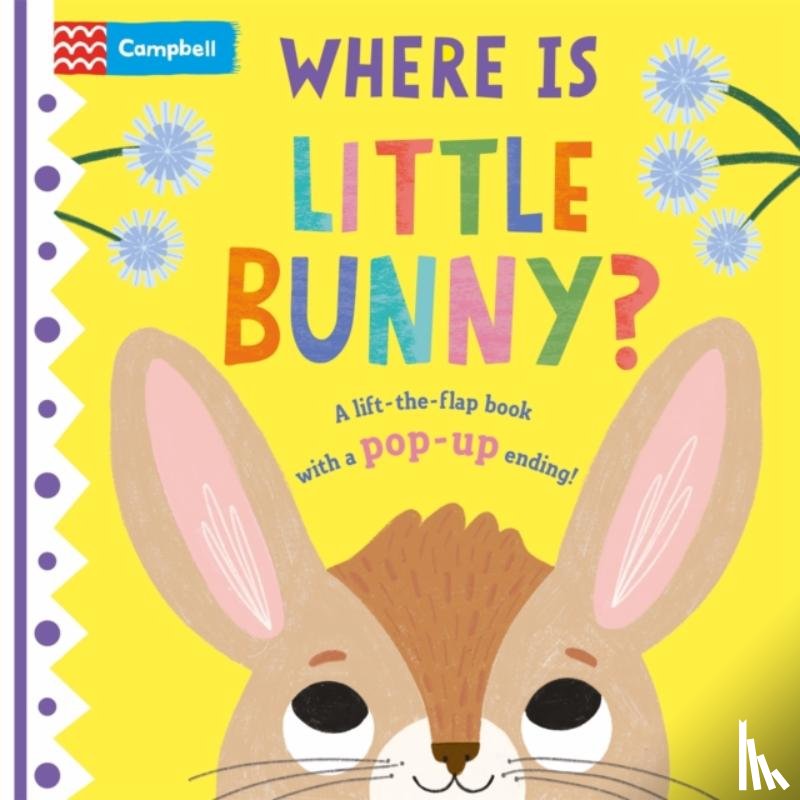 Books, Campbell - Where is Little Bunny?