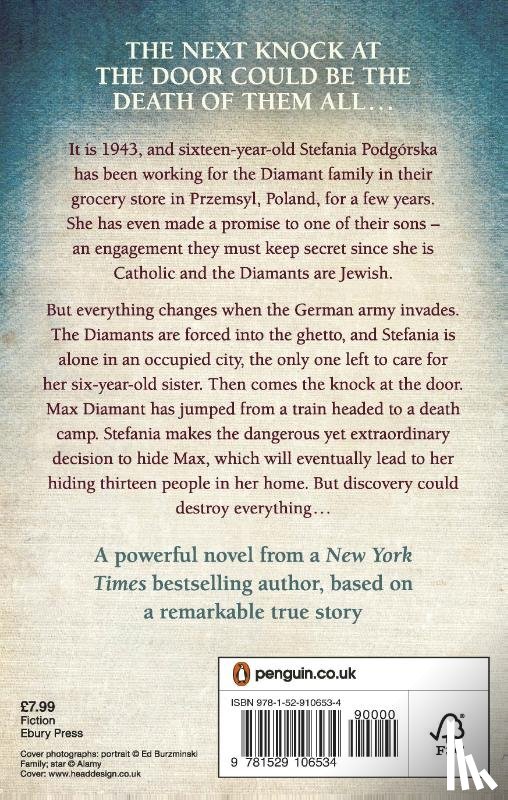 Cameron, Sharon - The Light in Hidden Places