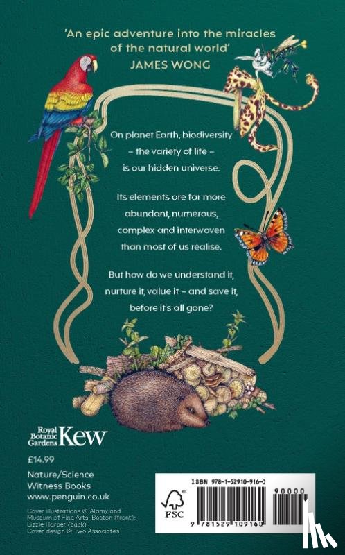 Antonelli, Alexandre - The Hidden Universe