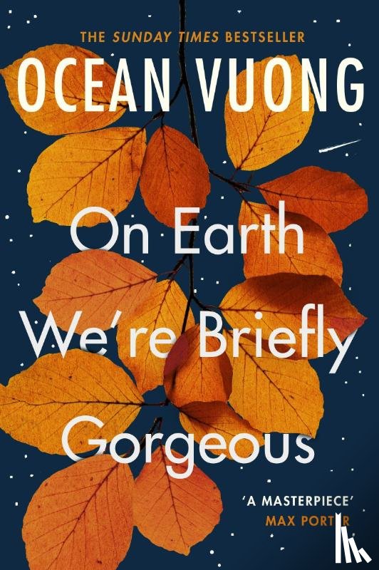 Vuong, Ocean - On Earth We're Briefly Gorgeous