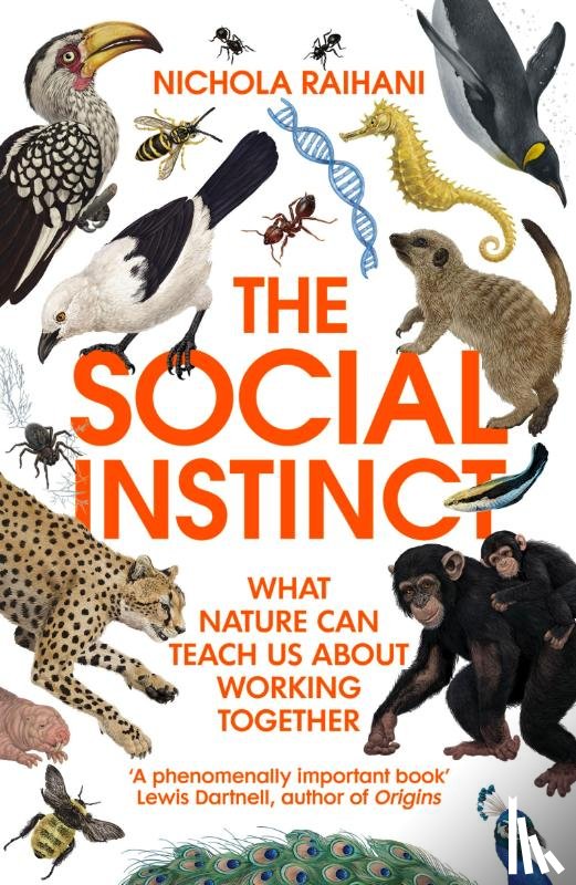 Raihani, Nichola - The Social Instinct