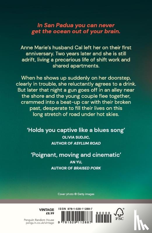 McFarlane, Ailsa - Highway Blue