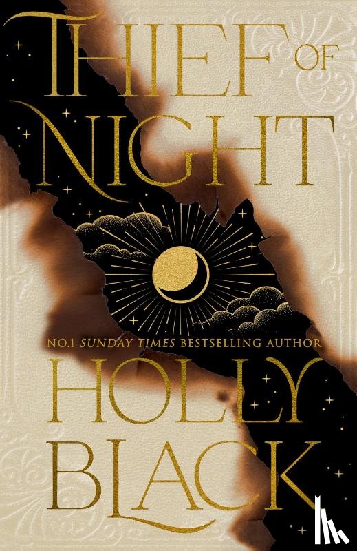 Black, Holly - Thief of Night