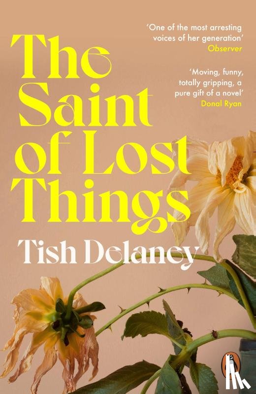 Delaney, Tish - The Saint of Lost Things