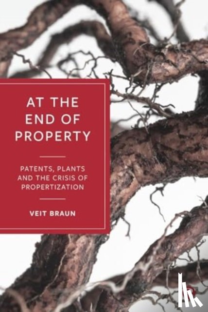 Braun, Veit (Goethe University Frankfurt am Main) - At the End of Property