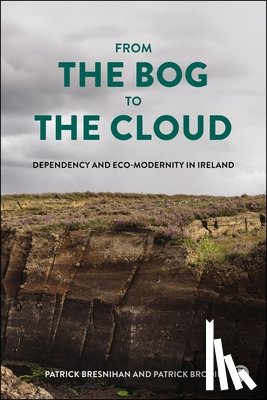 Bresnihan, Patrick (Maynooth University), Brodie, Patrick (University College Dublin) - From the Bog to the Cloud