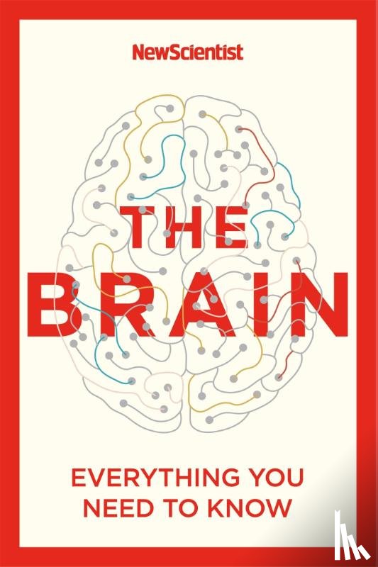 New Scientist - The Brain