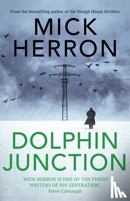 Herron, Mick - Dolphin Junction