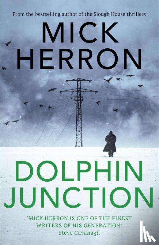 Herron, Mick - Dolphin Junction