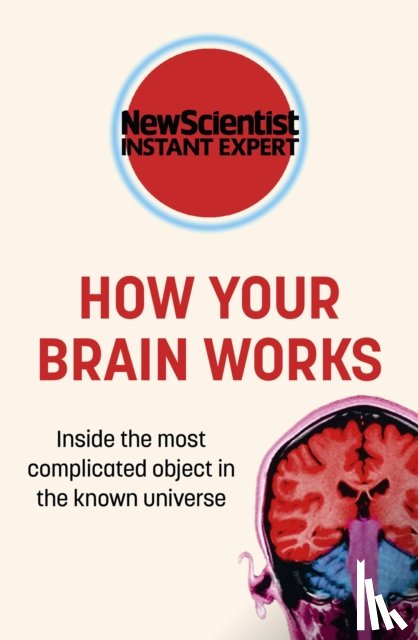 New Scientist - How Your Brain Works