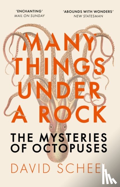 Scheel, David - Many Things Under a Rock