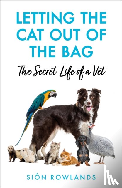 Rowlands, Sion - Letting the Cat Out of the Bag
