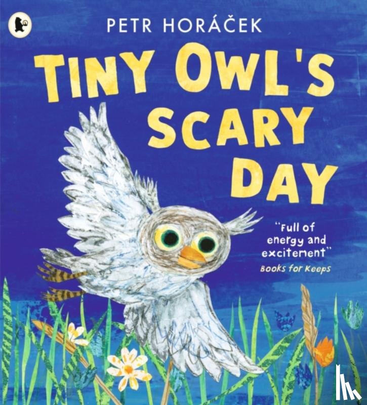Horacek, Petr - Tiny Owl's Scary Day