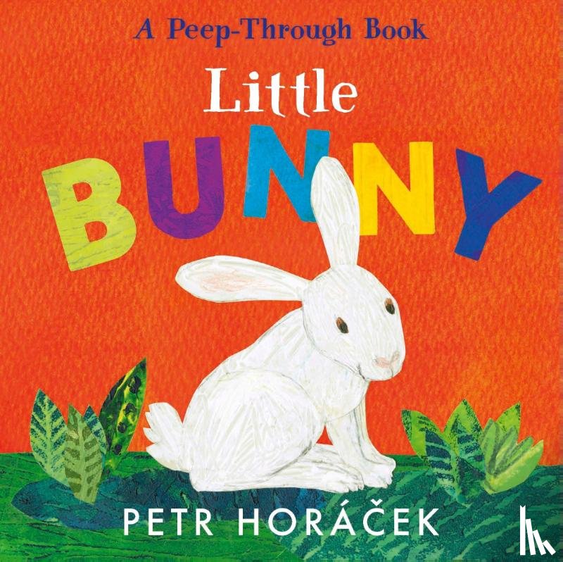 Horacek, Petr - Little Bunny