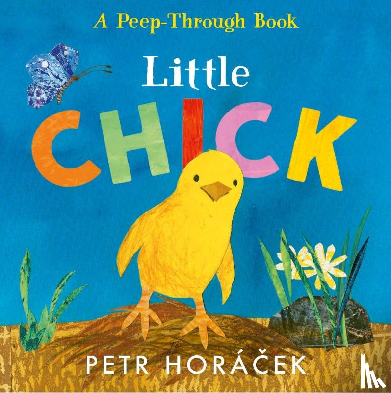 Horacek, Petr - Little Chick