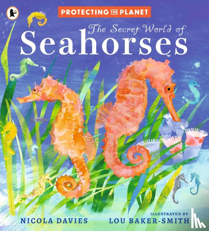 Davies, Nicola - Protecting the Planet: The Secret World of Seahorses