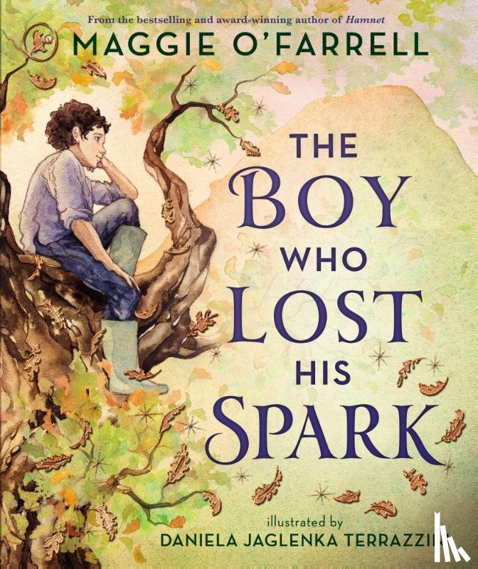 O'Farrell, Maggie - The Boy Who Lost His Spark
