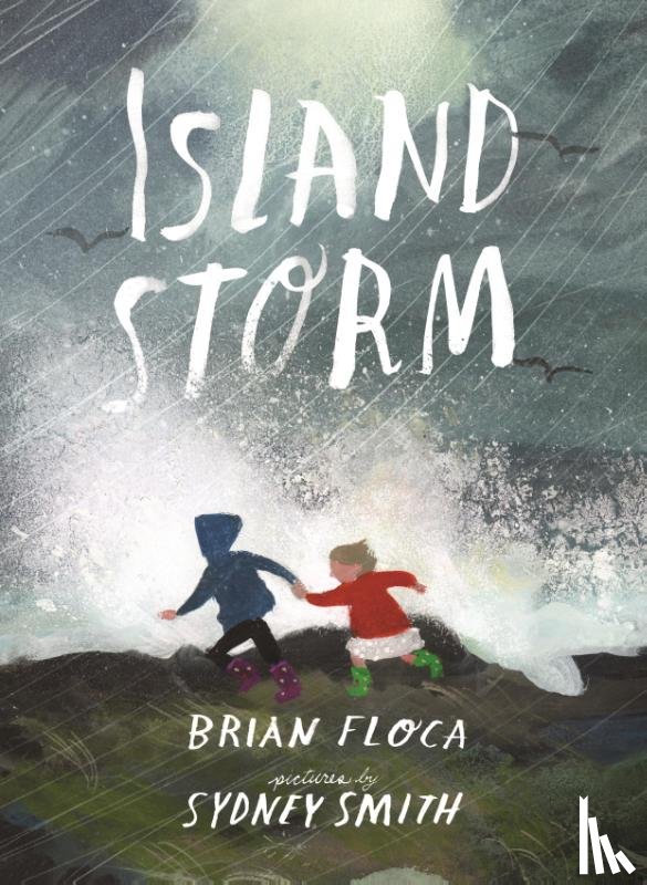 Floca, Brian - Island Storm