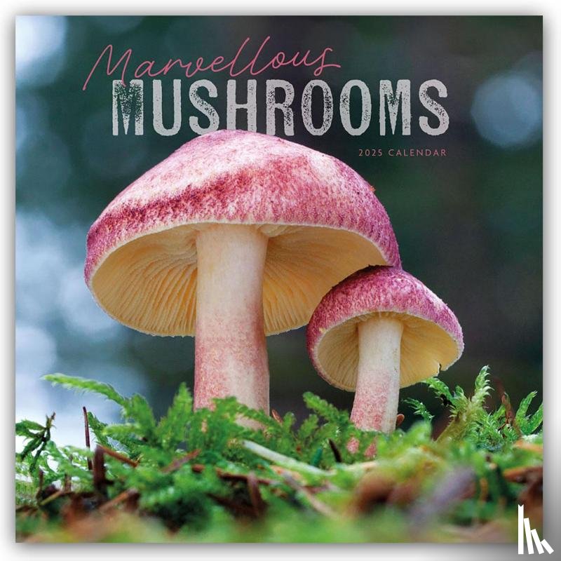 Calendars, Carousel - Marvellous Mushrooms Square Wall Calendar 2025