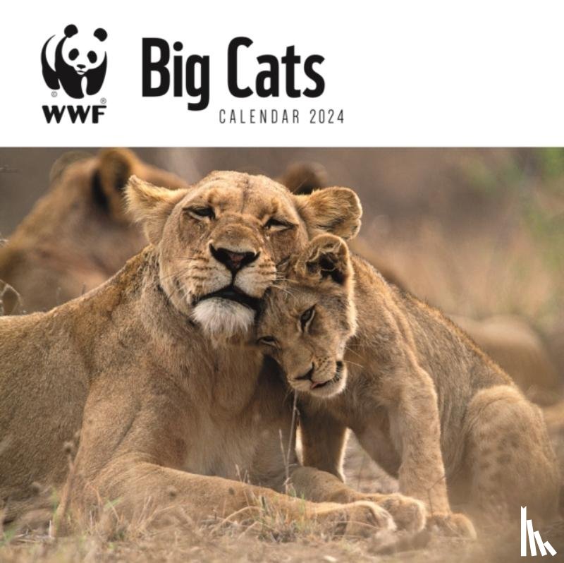 Carousel Calendar - WWF Big Cats Square Wall Calendar 2024