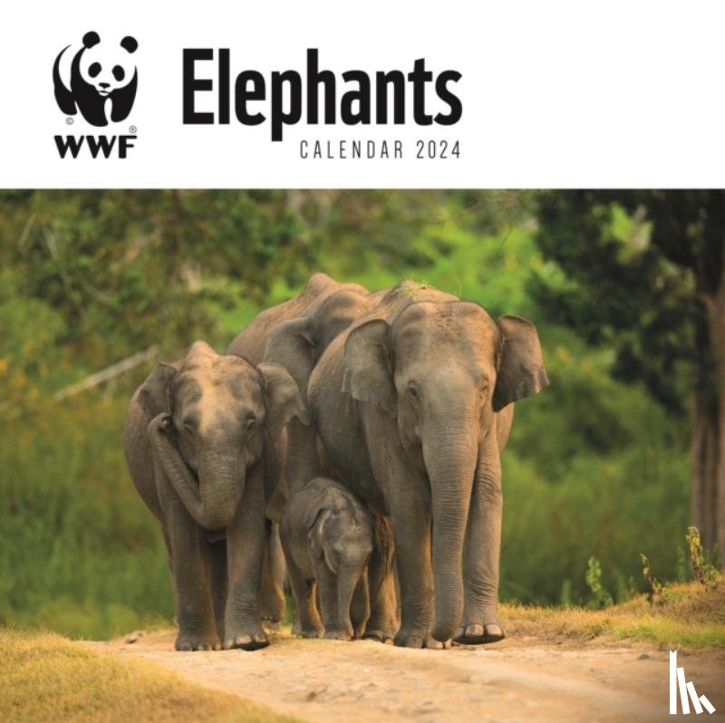Carousel Calendar - WWF Elephants Square Wall Calendar 2024