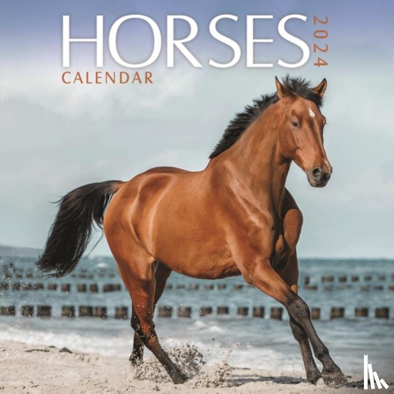Calendars, Carousel - Horses Mini Calendar 2024