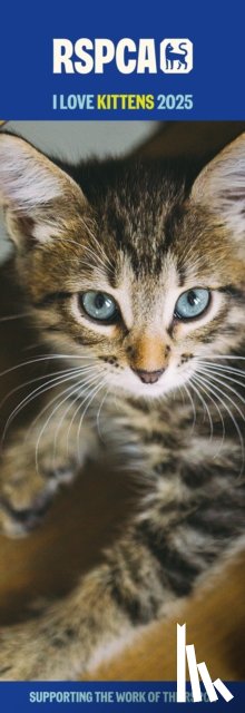 Calendars, Carousel - RSPCA I Love Kittens Slim Calendar 2025