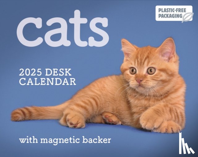 Calendars, Carousel - Cats Mini Box Calendar 2025