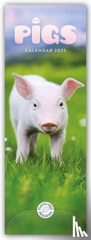 Calendars, Carousel - Pigs Slim Calendar 2025