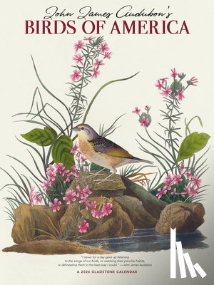 Gladstone - Audubons Birds Of America Deluxe Wall Su