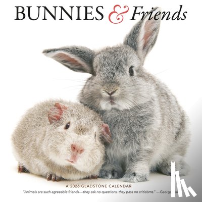 Gladstone - Bunnies Friends Square Wall Sunday Start