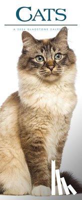 Gladstone - Cats Deluxe Slim Sunday Start Calendar 2