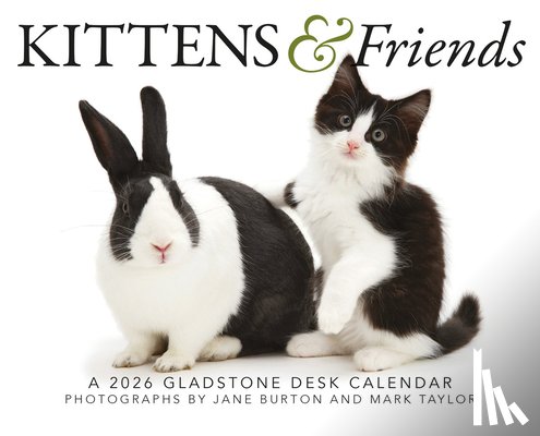 Gladstone - Kittens Friends Box Calendar 2026