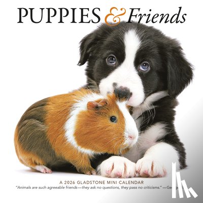 Gladstone - Puppies Friends Square Mini Sunday Start