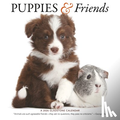 Gladstone - Puppies Friends Square Wall Sunday Start